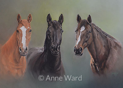 Anne Ward commissioned portrait of three Thoroughbred mares