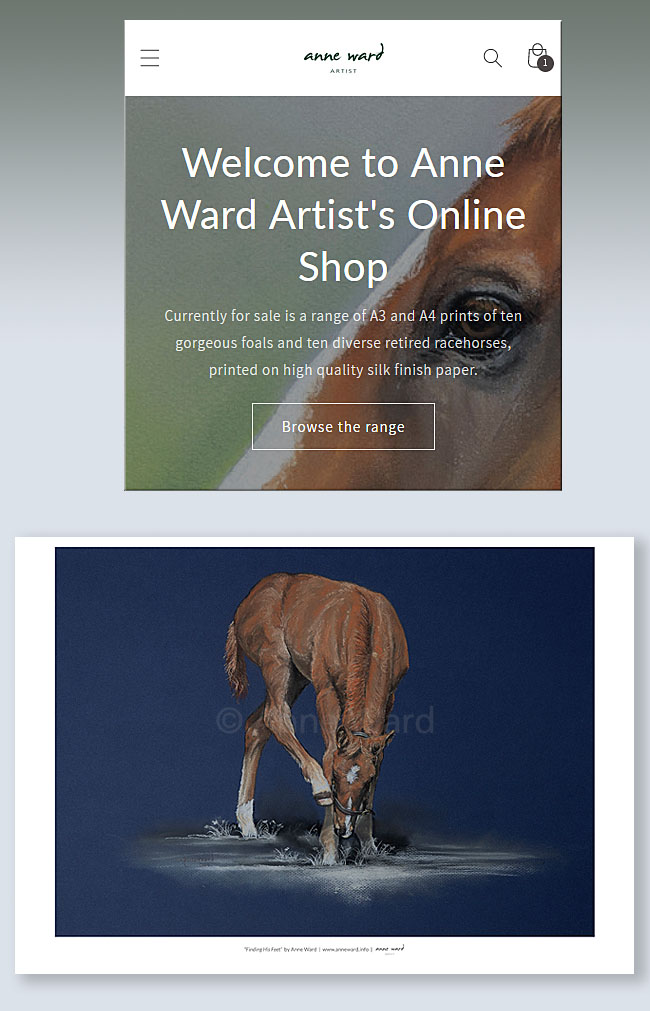 Anne Ward Artist online shop