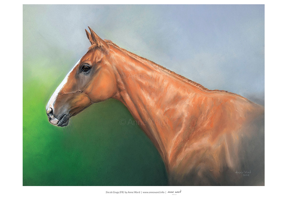 Portrait of Sire de Grugy by Anne Ward, available as a print in A3 and A4