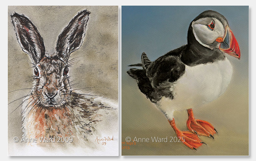 Anne Ward artist hare and European Puffin paintings