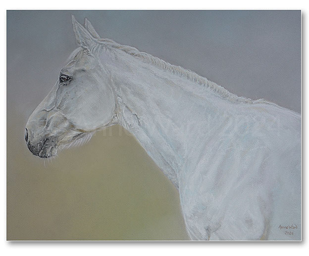 Anne Ward artist commissioned portrait of Thoroughbred mare