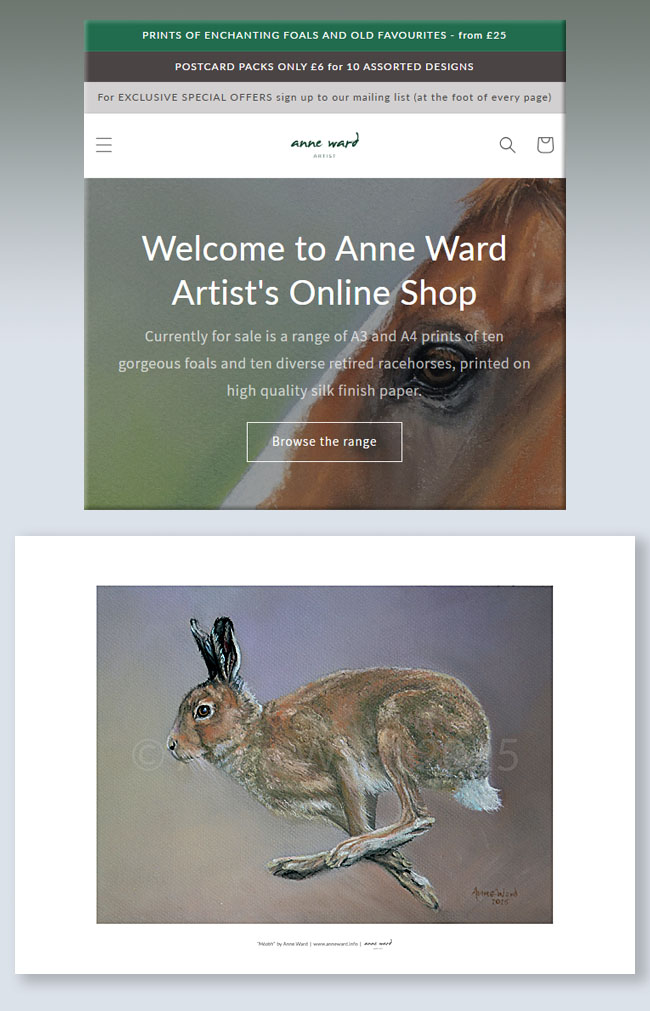 Anne Ward Artist online shop